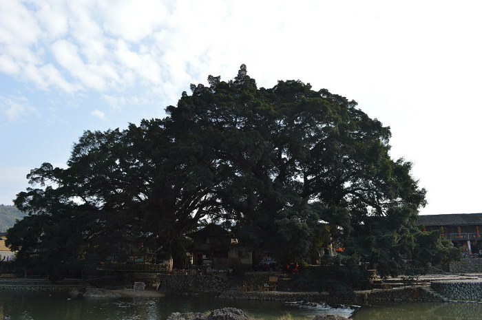 /DJGIMG/Upload/201404222308269Lp1Cm.jpg