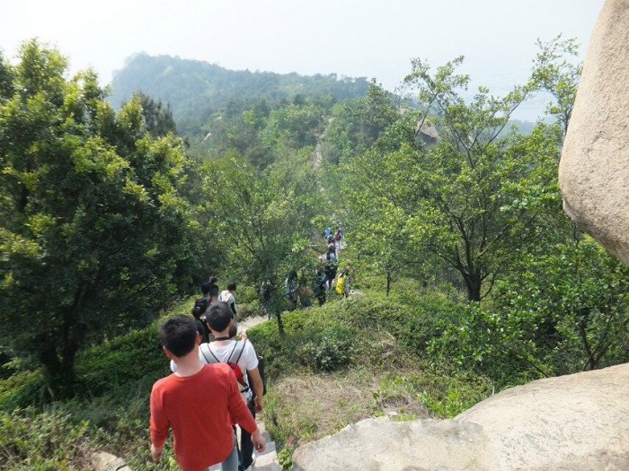 /DJGIMG/Upload/201408252328125Mo1Bn.jpg