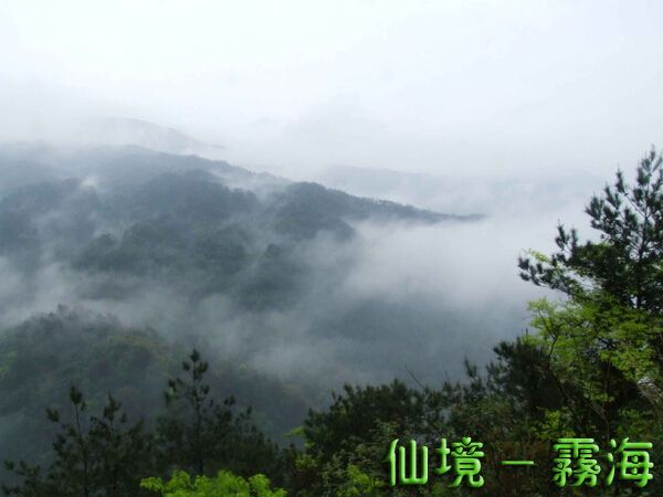 /DJGIMG/Upload/201412301610432Vg4Fq.jpg