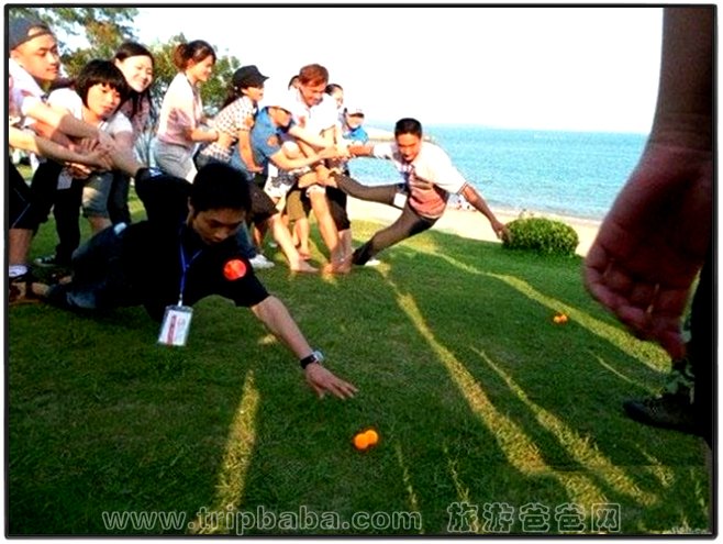 /DJGIMG/Upload/201412301726362Hm8Fp.jpg