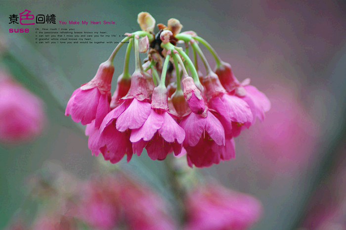 /DJGIMG/Upload/201502012330441Fn7Et.jpg