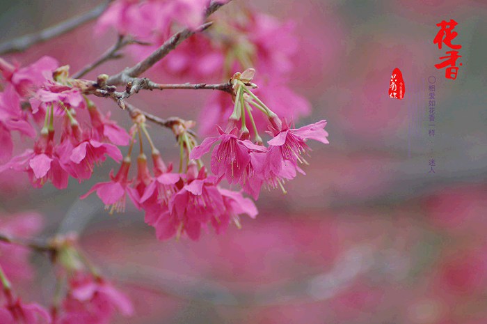 /DJGIMG/Upload/201502012331003Eo6Yd.jpg
