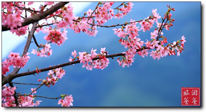 /DJGIMG/Upload/201503051528454Wq7Kj.jpg