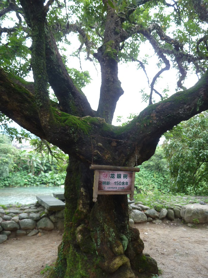 /DJGIMG/Upload/201505072349546Dc1Ui.jpg