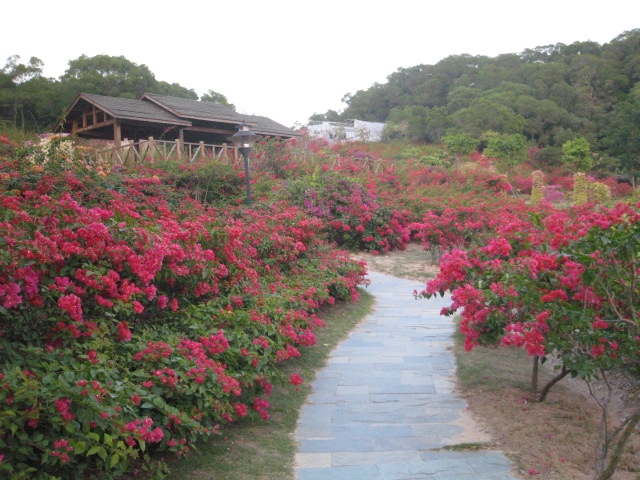 /DJGIMG/Upload/201505261654576Ei3Qs.jpg