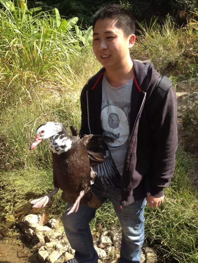 /UpFile/2015/11/10/201511100914104Dv4Im.jpg
