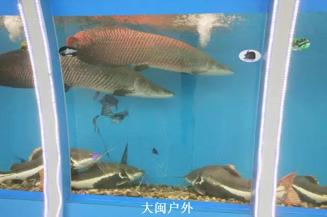 /UpFile/2015/11/13/201511130018318Al7Gj.jpg