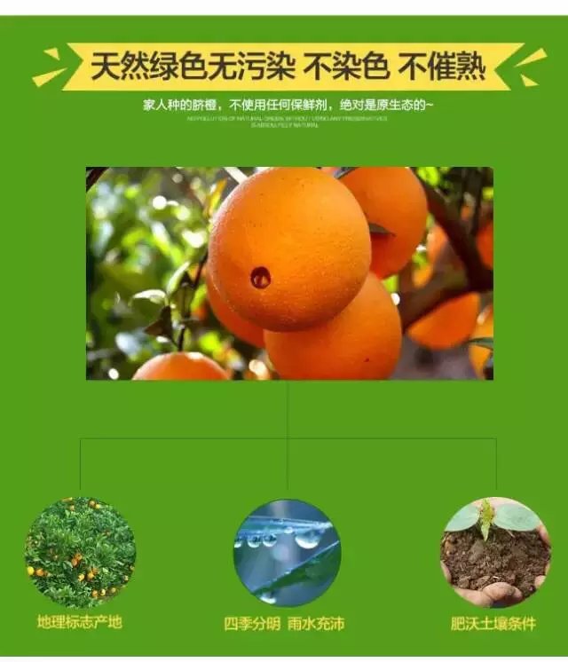 /UpFile/2015/11/21/201511211238052Oa3Ya.jpg