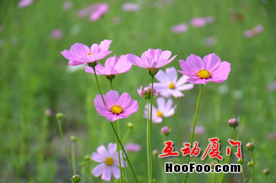 /UpFile/2016/1/28/201601281529383Ji3Bq.jpg