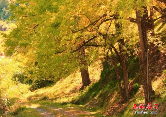 /UpFile/2016/11/7/201611071438186Pw0Jy.jpg