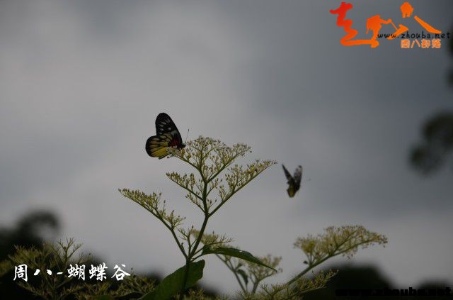 /UpFile/2016/12/14/201612140925154Dh5Br.jpg