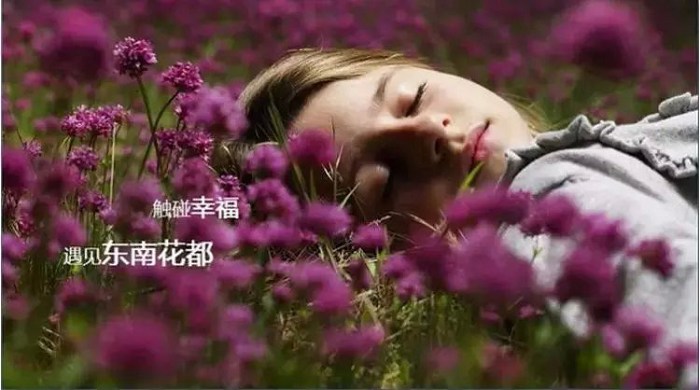 /UpFile/2016/2/22/201602222218064Ov3Ur.jpg