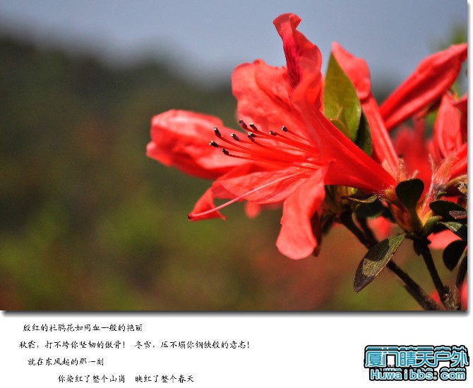 /UpFile/2016/3/29/201603291211216Jb0My.jpg