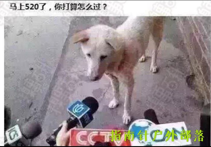 /UpFile/2016/5/19/201605191214523Nx4Jb.jpg
