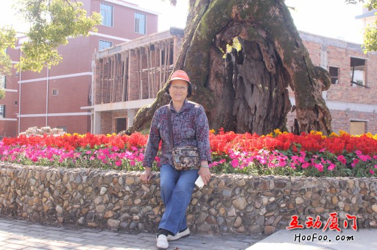 /UpFile/2017/1/3/201701031454190Yc5Av.jpg