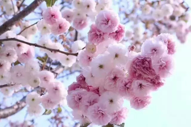 /UpFile/2017/3/15/201703150016134Pq4Ge.jpg