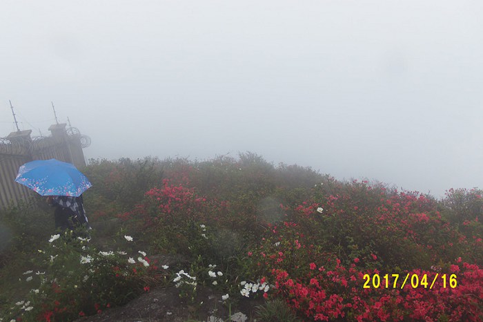 /UpFile/2017/4/18/201704180718453Jp6Tl.jpg