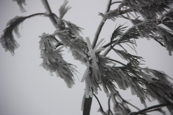 /Upload/201201262131232Em2Ib.jpg