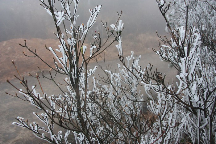 /Upload/201201262132521Hk6Ma.jpg