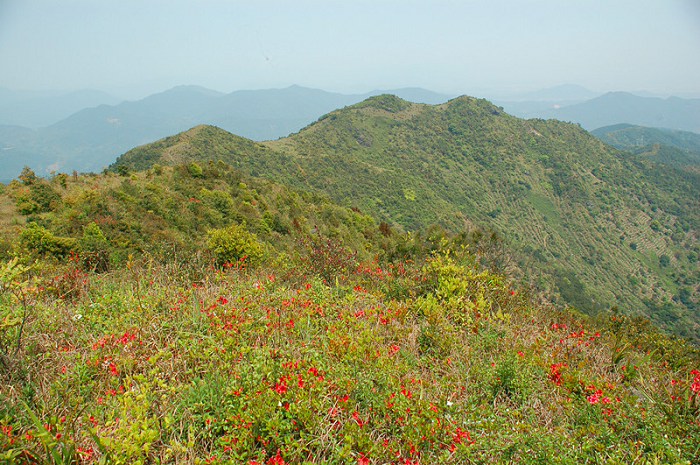 /Upload/201204151523486Hs6Vf.jpg