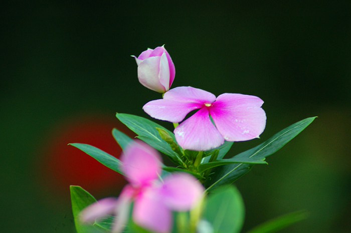 /Upload/201204241810346Bs9Bh.jpg