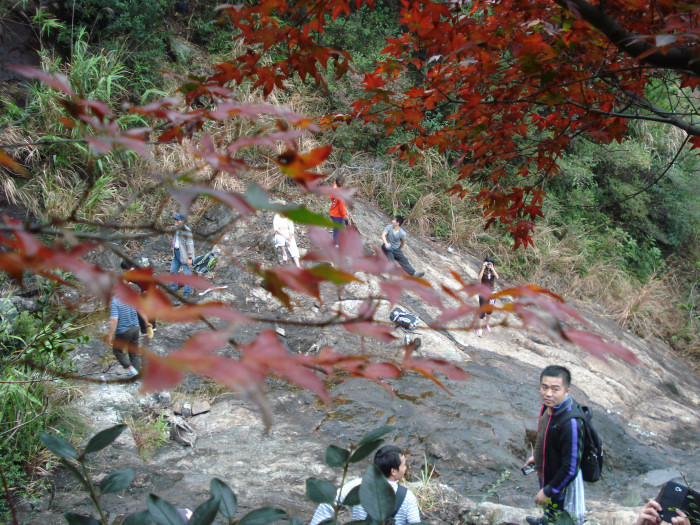 /Upload/201211252132013Of3Qt.jpg