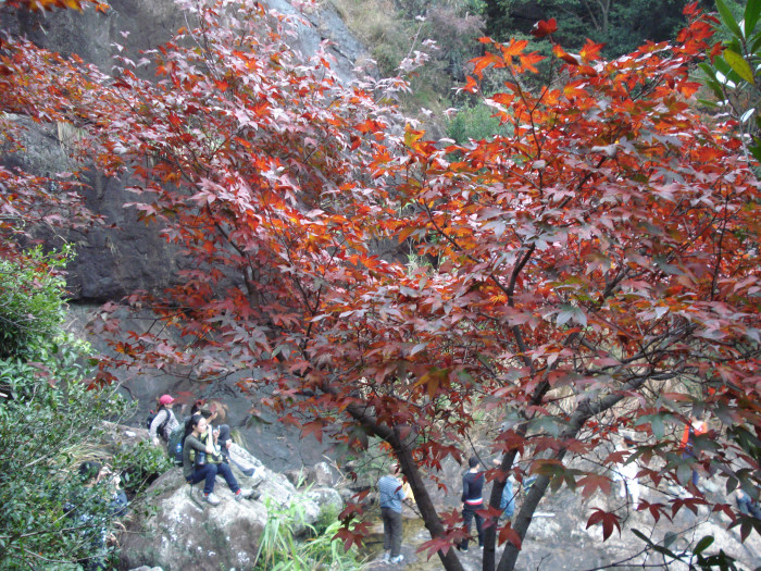 /Upload/201211252132129Uv3Ot.jpg