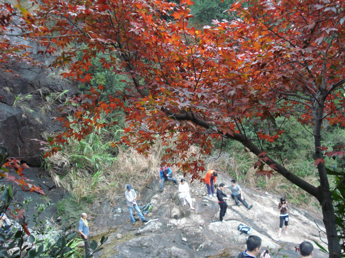 /Upload/201211252132220Bt5Ge.jpg