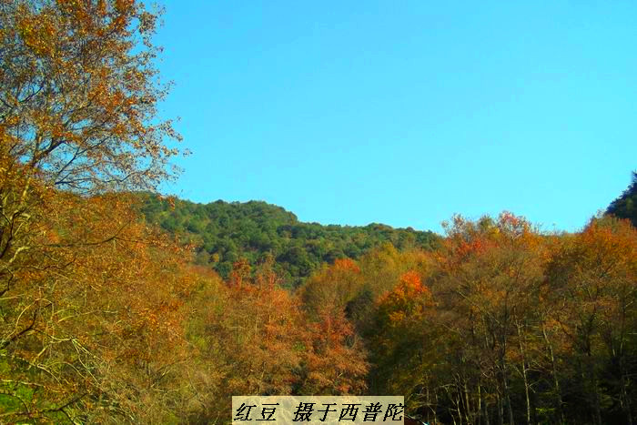 /Upload/201212092329045Sl4Sd.jpg