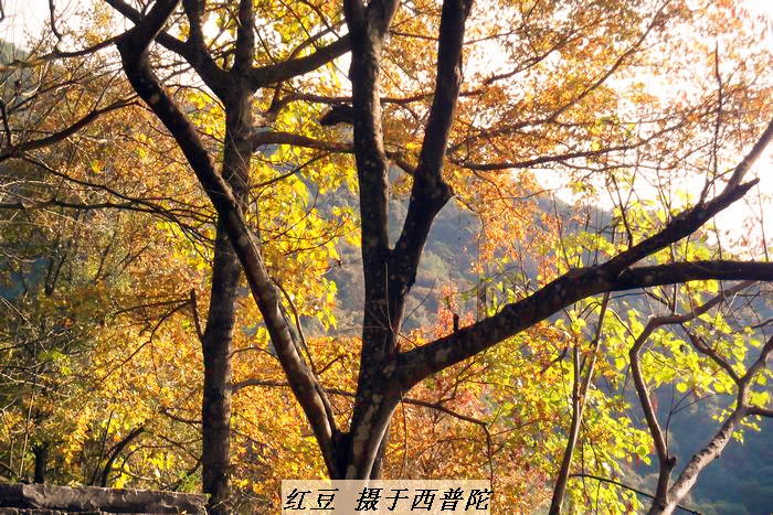 /Upload/201212092338195Ql3Fs.jpg