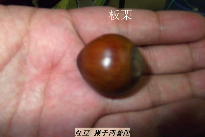 /Upload/201212092338435Ic2Nm.jpg