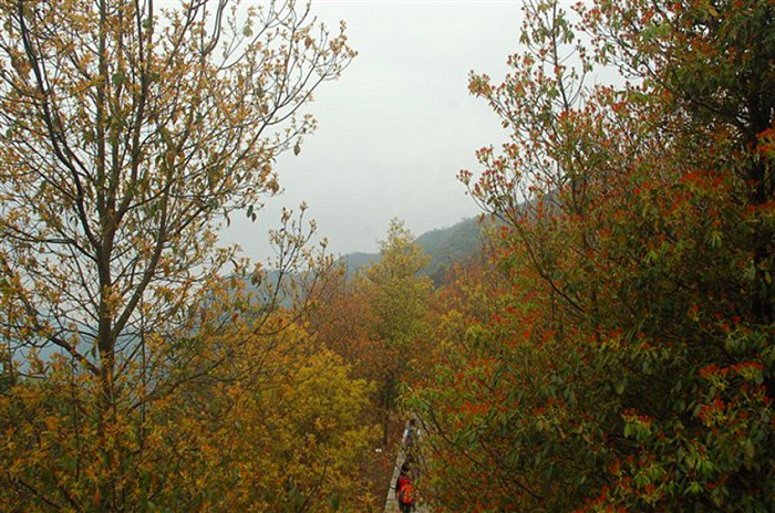 /Upload/201212110019492Rl8Uc.jpg