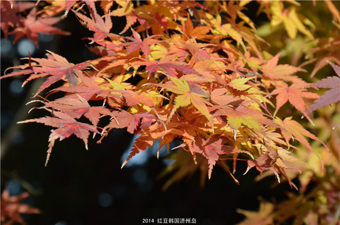 /Upload/201412132153571Sw5Sr.jpg