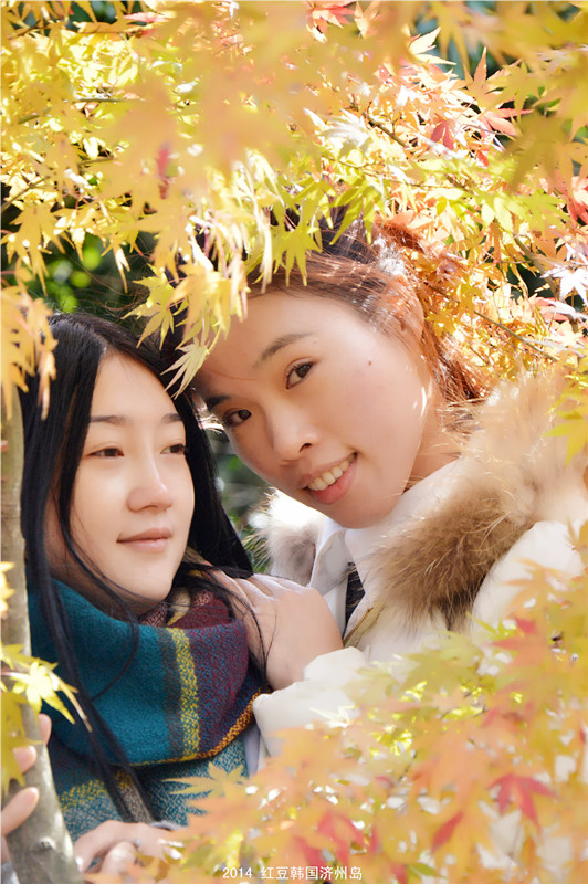 /Upload/201412132157439Pw0Ib.jpg