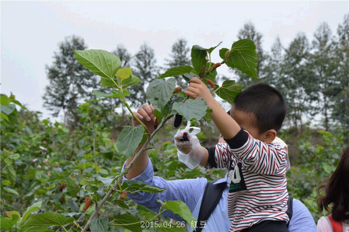 /Upload/201504270707083Nc5Jf.jpg